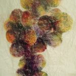91-grappe-raisins