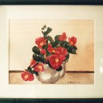 Camelias / technique : aquarelle