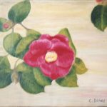 Camelia / technique : peinture à l'huile