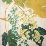 Raisins verts / technique : peinture à l'huile
