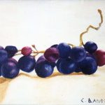 Raisins Noirs / peinture à l'huile