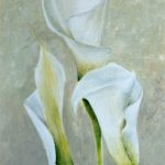 Arums fond gris /acrylique