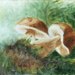 Champignons / peinture à l'huile