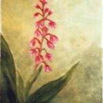 Orchidée / peinture à l'huile