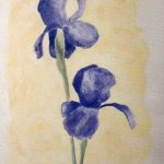 Iris bleu / aquarelle